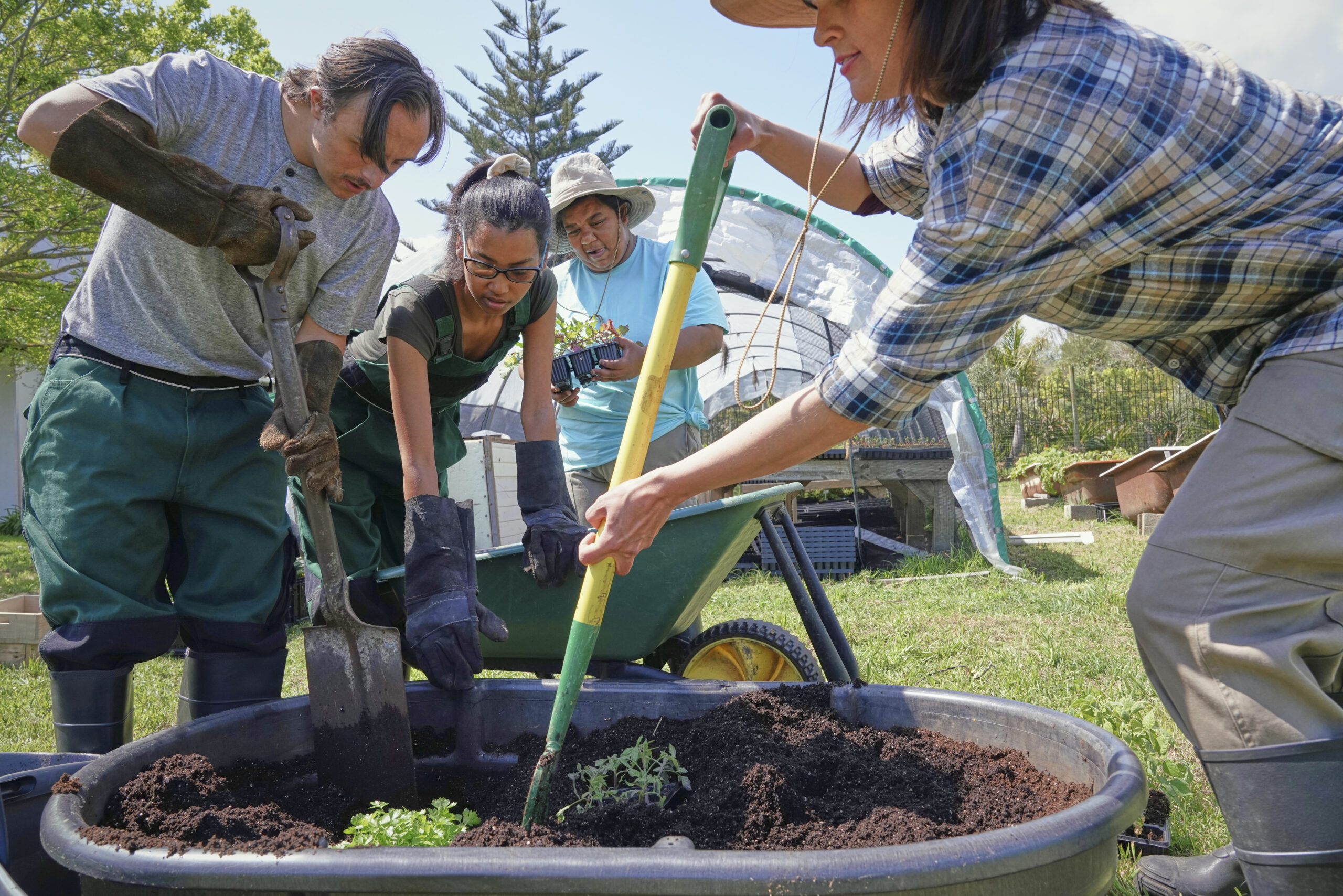 group of employees working in garden