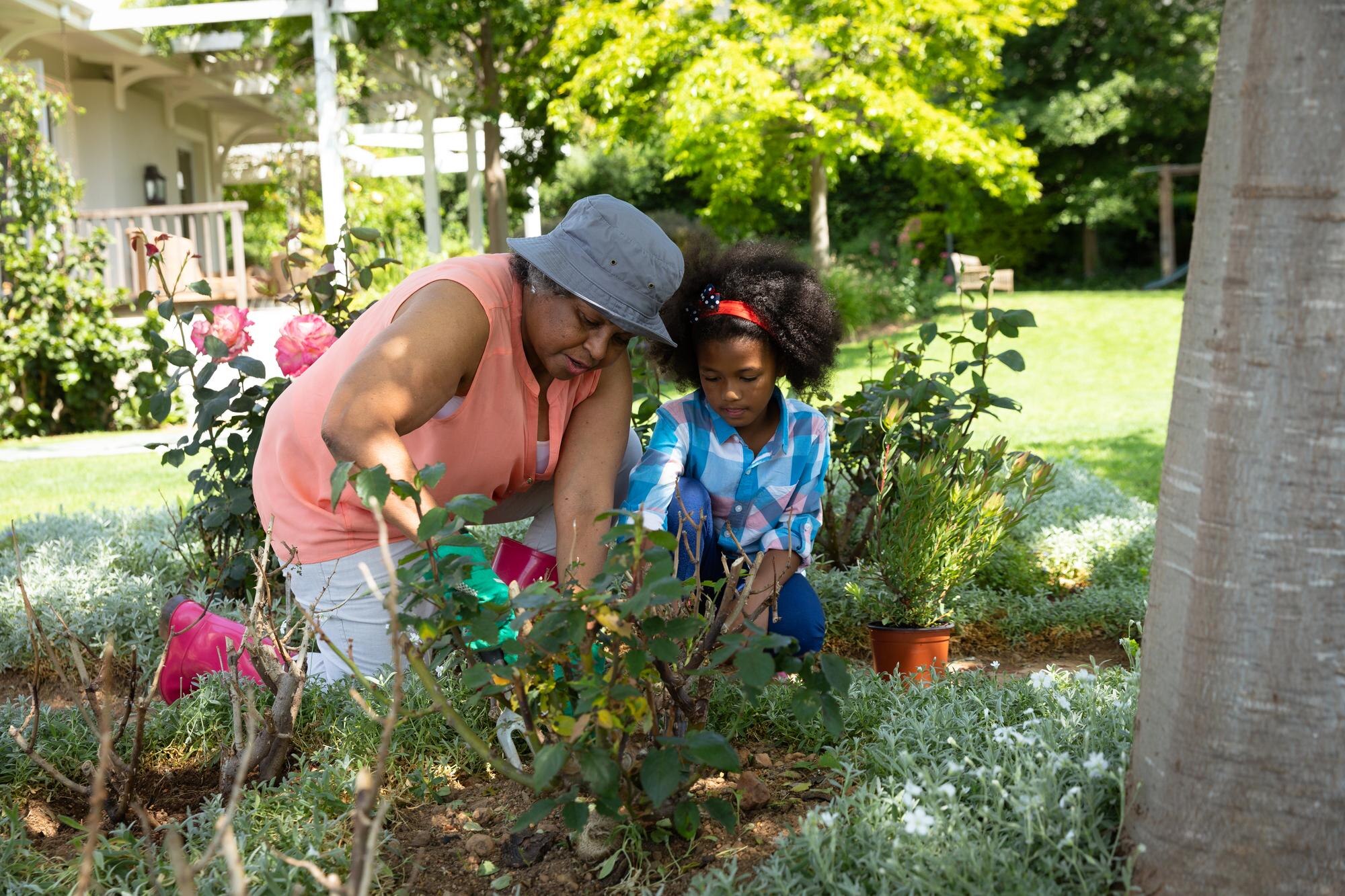 The Green Revolution: How Gardening Education Transforms Communities Sustainably featured image 1760812207