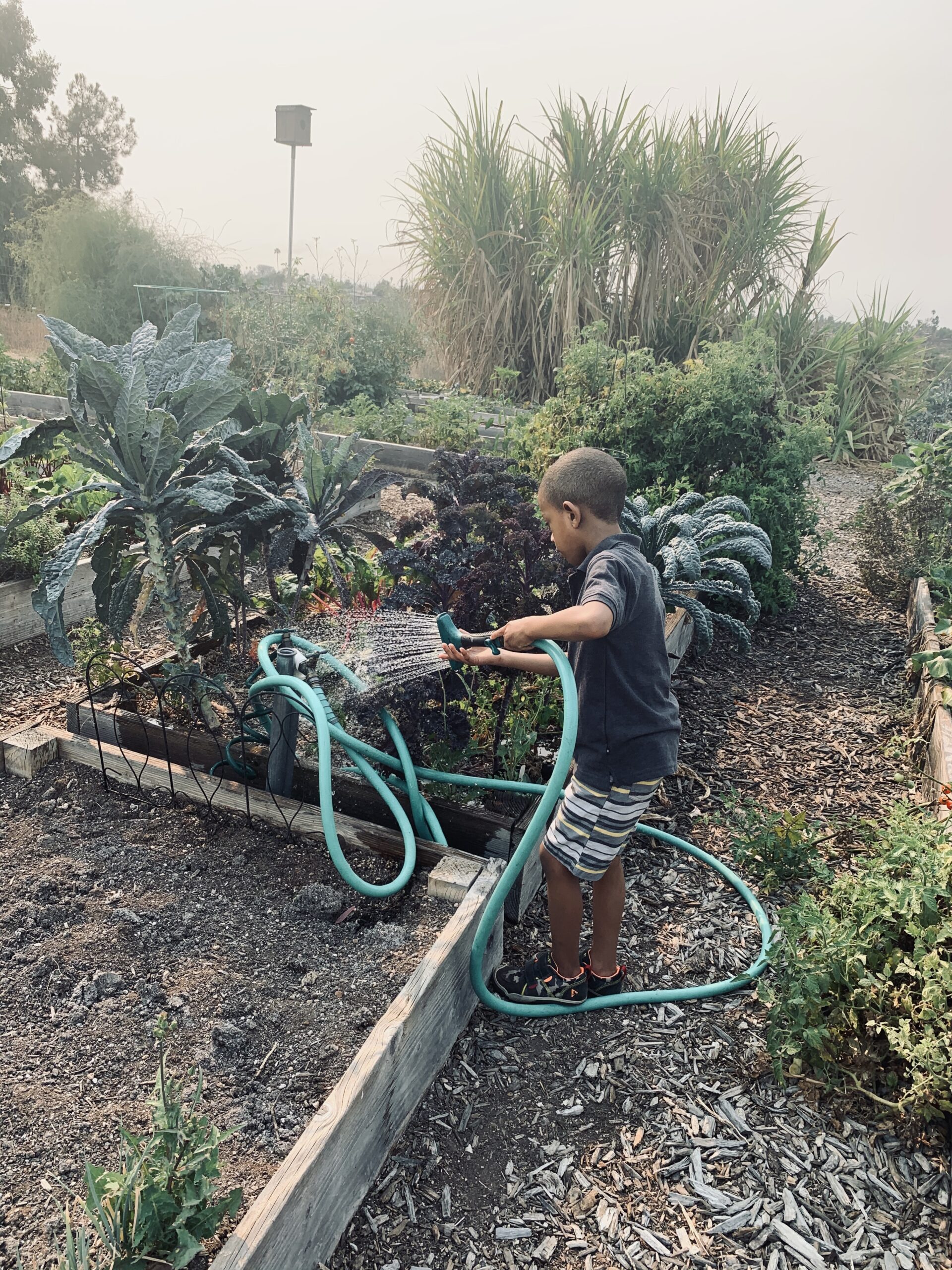 Plant the Seeds of Learning: Support Our School Garden Build! featured image 1761071438