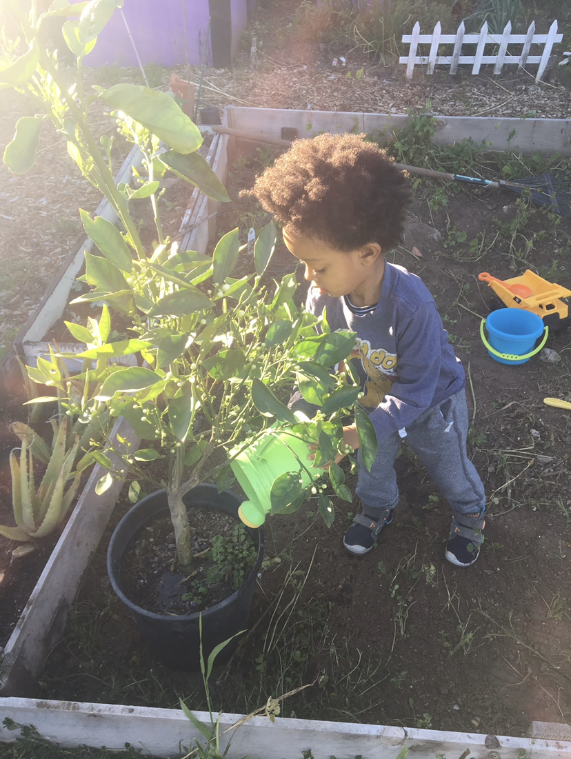 Sow the Seeds of Learning: Support a School Garden Build! featured image 1761244230 1
