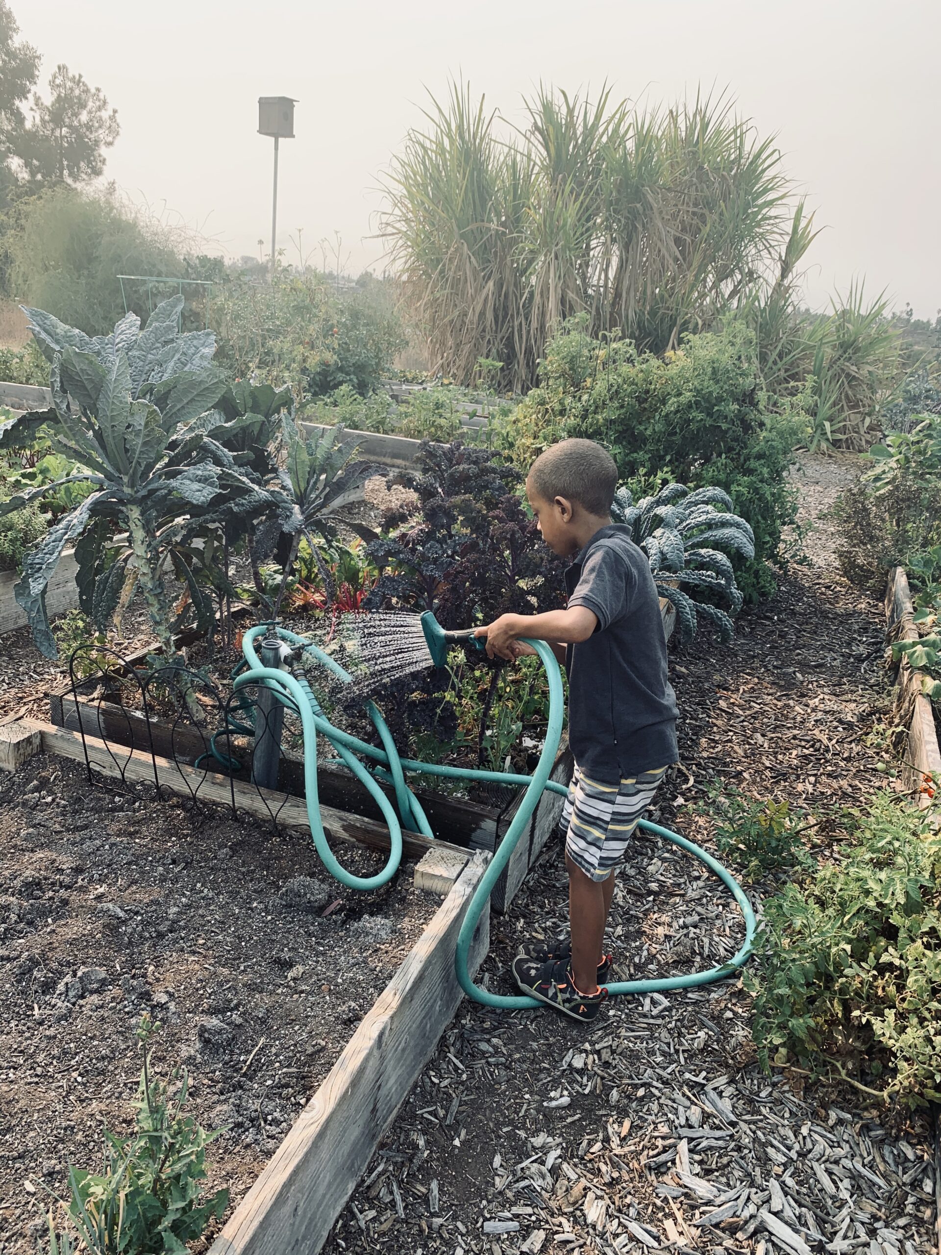 Sowing Seeds of Change: Help Us Build a School Garden! featured image 1761417005