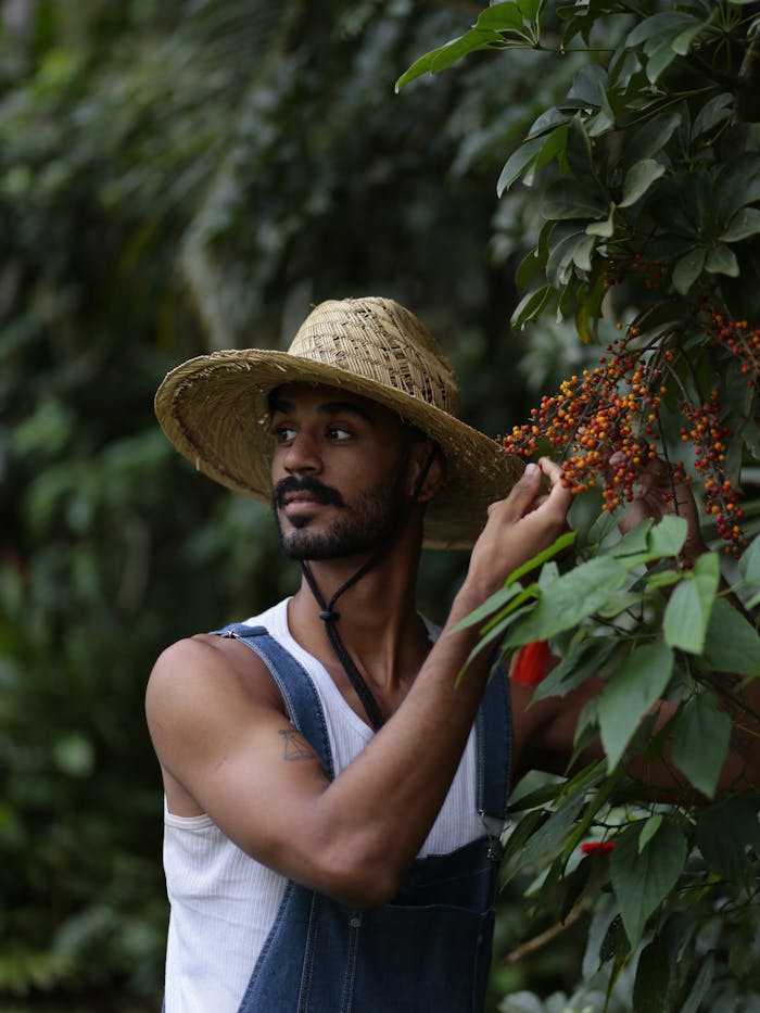 A young man wearing a straw hat picking berries outdoors in a lush summer garden.