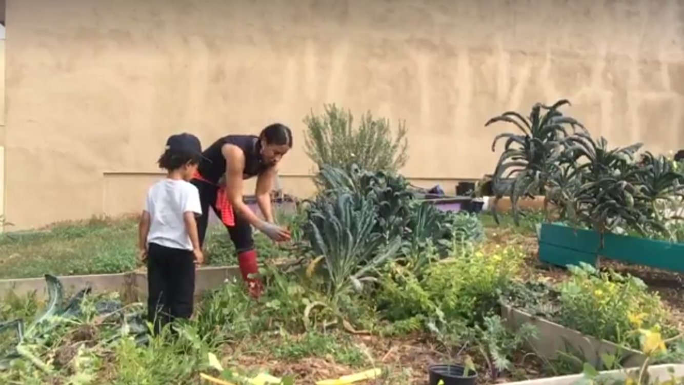 Cultivate Your Green Thumb: Developing Gardening Skills for Sustainable Futures featured image 1762380071