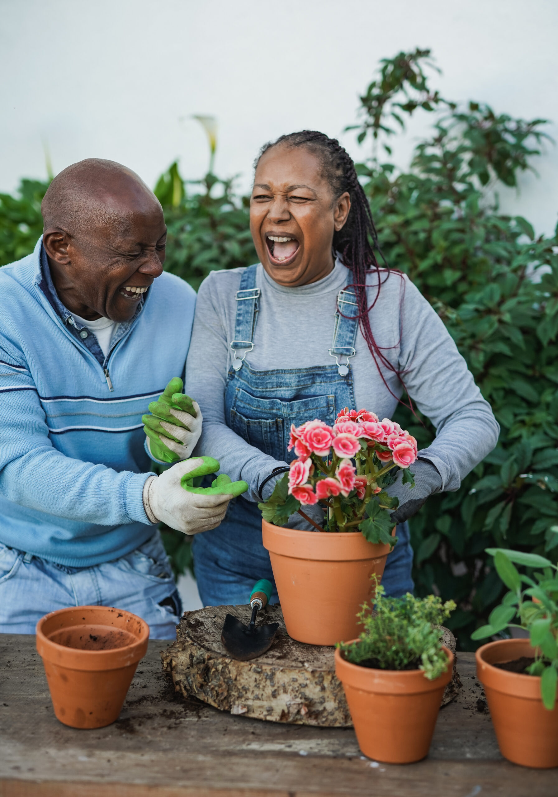 The Surprising Ways Gardening Can Boost Your Mental Health Every Day senior african couple having fun gardening together outdoor